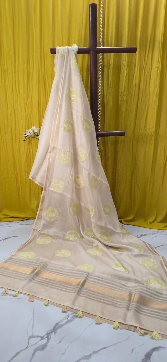 Elegant Ivory Tissue Silk Saree with Applique Design for Festive Wear