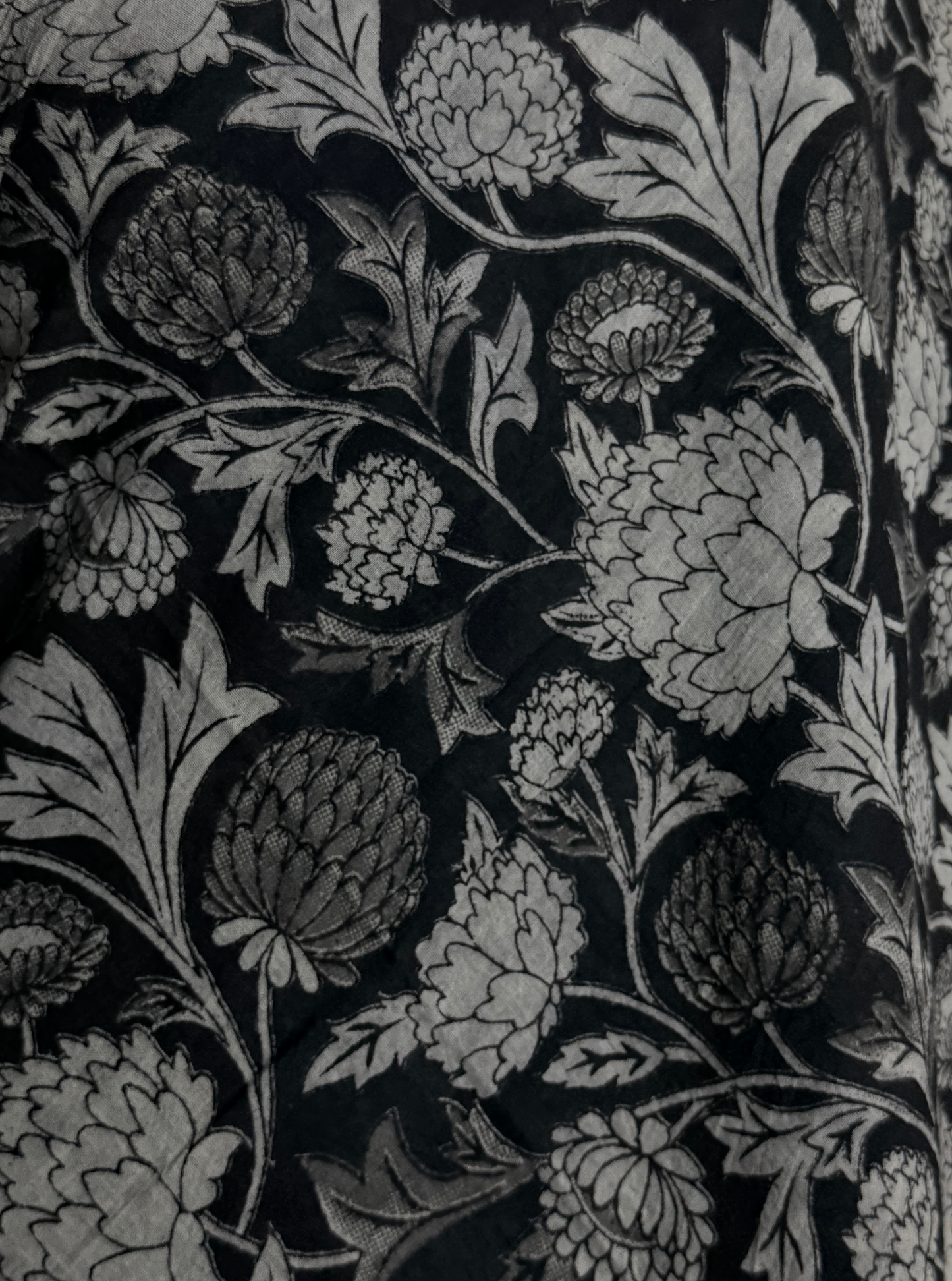 Black & Ivory Cotton Kalamkari Saree with Floral Vine Prints